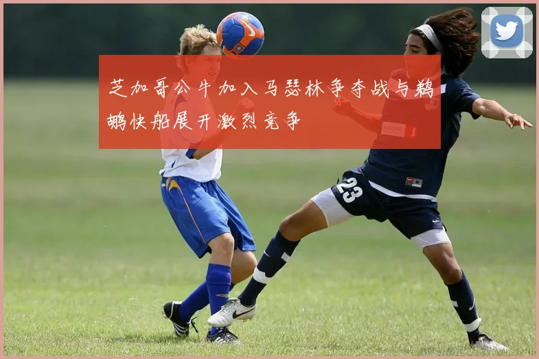 芝加哥公牛加入马瑟林争夺战与鹈鹕快船展开激烈竞争